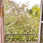 Gæstehus Kuestenliebe Gartenpension & 3*