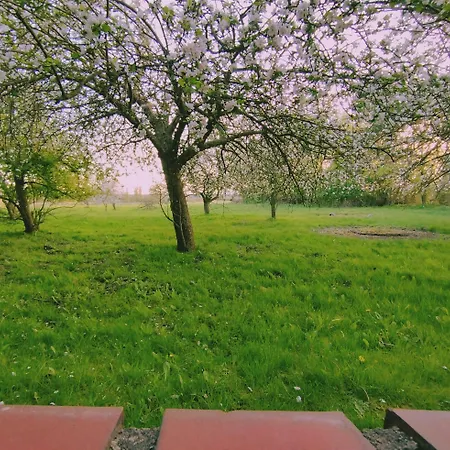 Kuestenliebe Gartenpension & Börgerende-Rethwisch