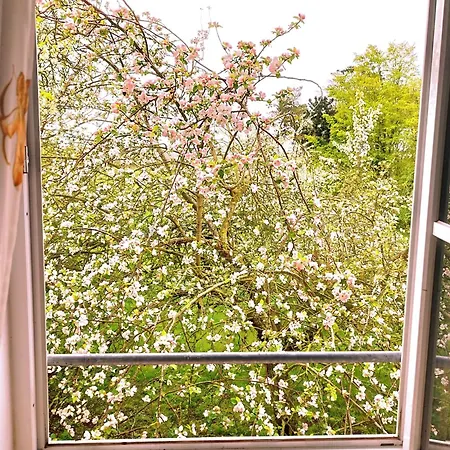 Pensionat Kuestenliebe Gartenpension & 3*